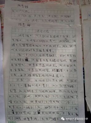 关于网络城诚信的作文怎么写