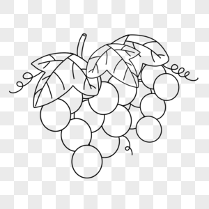 葡萄的叶子怎么画图片