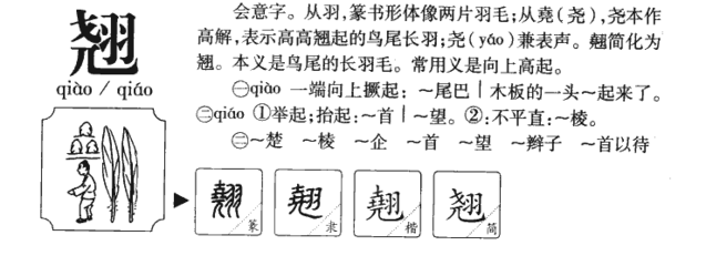 羽五行属什么