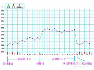 排卵期怎么算