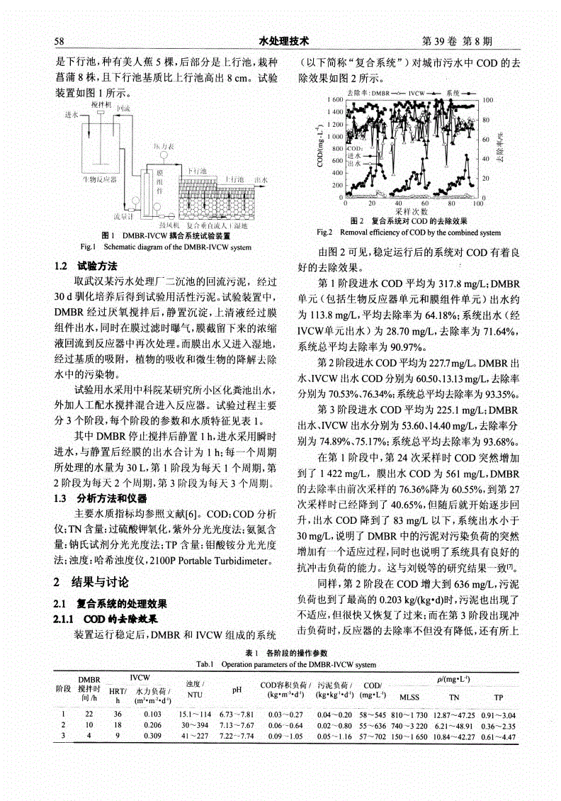 种白松露的小说