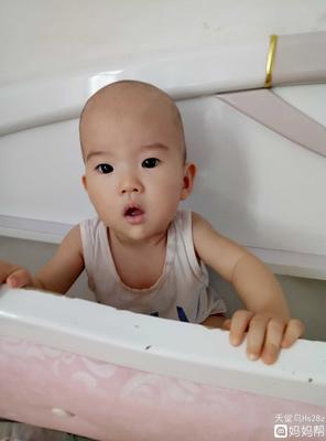一岁宝宝吃什么益生菌好