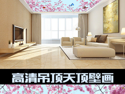 樱花集成吊顶 南京