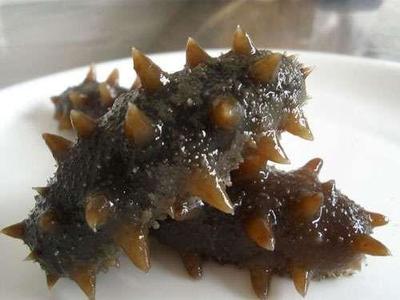 海参的食用制作方法