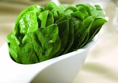 孕妇多吃菠菜好吗