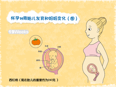 怀孕19周感觉不到胎动