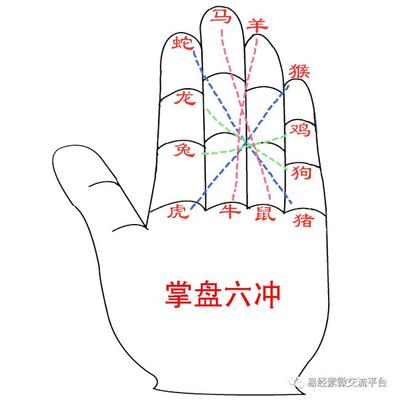 生肖对冲是什么意思