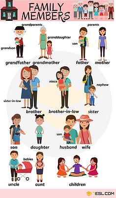 family成员英语词汇