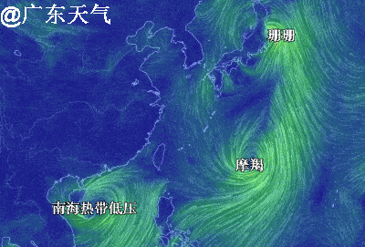 八月台风