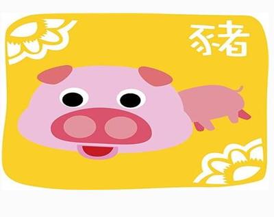 属猪的女生