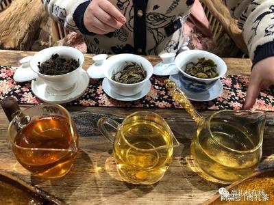 普洱茶品鉴