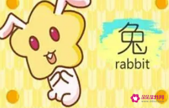 兔子起名字