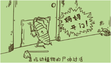 房间好多小蟑螂怎么办