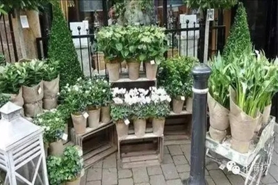 花卉店铺起名