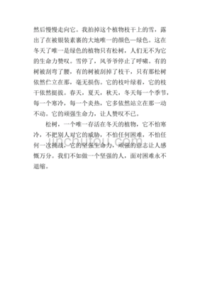 用植物松树来借物喻人的作文怎么写