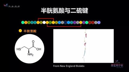 黄颜色代表什么意思