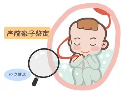 产前dna亲子鉴定