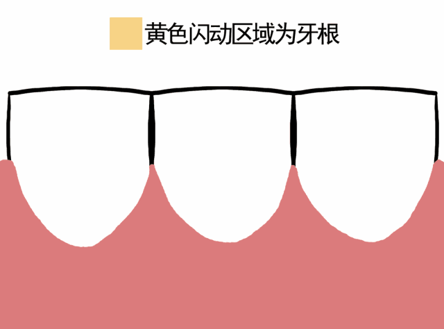 不属于口腔的组成部分
