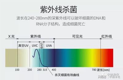 室内紫外线