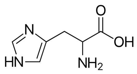 组氨酸的作用和功效