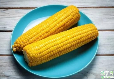 减肥能吃玉米么