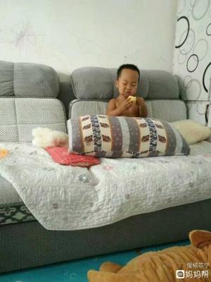 厨房可以睡觉吗
