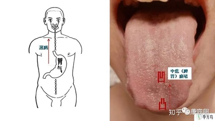 舌头有点肿是怎么回事