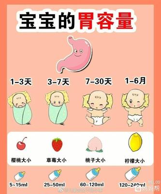 新生儿胃图片