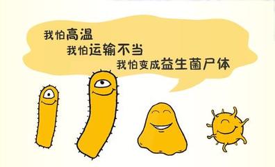 益生菌的正确吃法