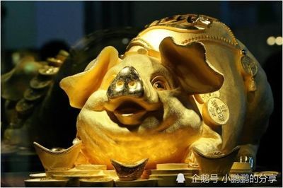 鹏代表什么生肖