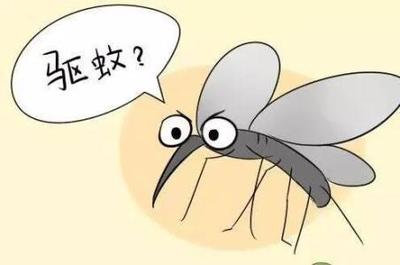 房间里有蚊子
