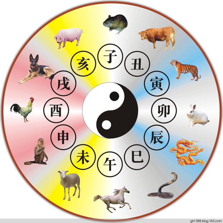 昨天属什么生肖