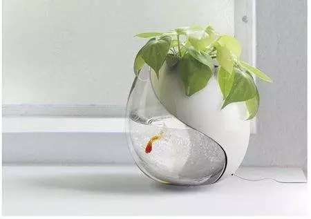 房间里放盆水