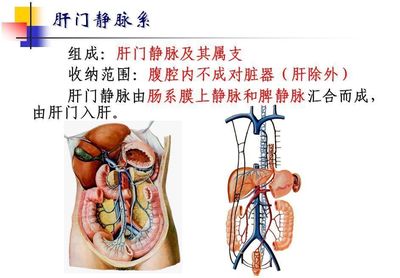 肠道有积气是怎么回事