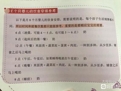 八个月宝宝一天饮食安排