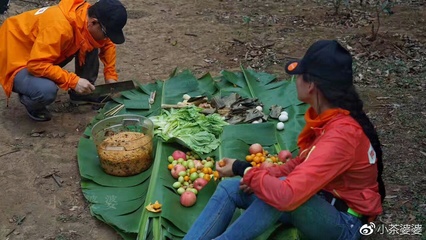 家人去野炊的日记怎么写