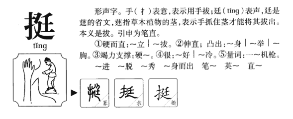 廷字取名寓意