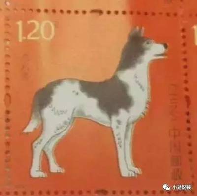 九牛一毛指什么生肖