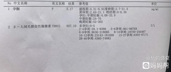 排卵期英文