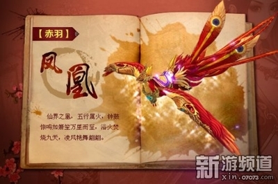 凰五行属什么