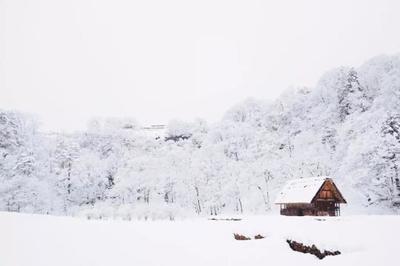 怎么样形容鹅毛大雪