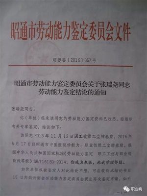 劳动能力等级鉴定