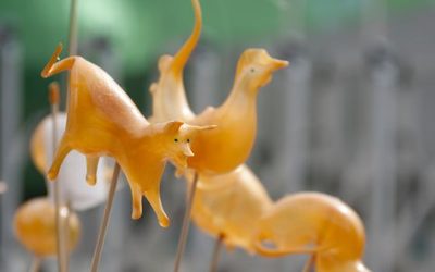 第一大富贵的生肖