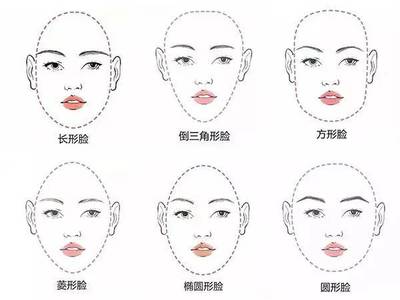 脸型眉毛