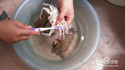 螃蟹怎么清洗