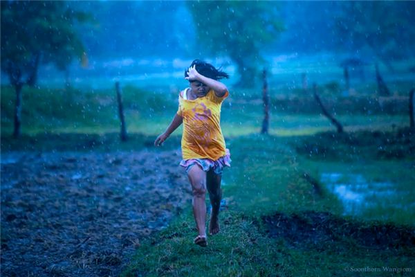 梦见自己在雨中奔跑