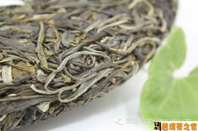普洱茶定义