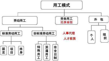 非标准劳动关系