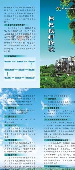 林权抵押贷款