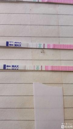 月经前12天是排卵期吗
